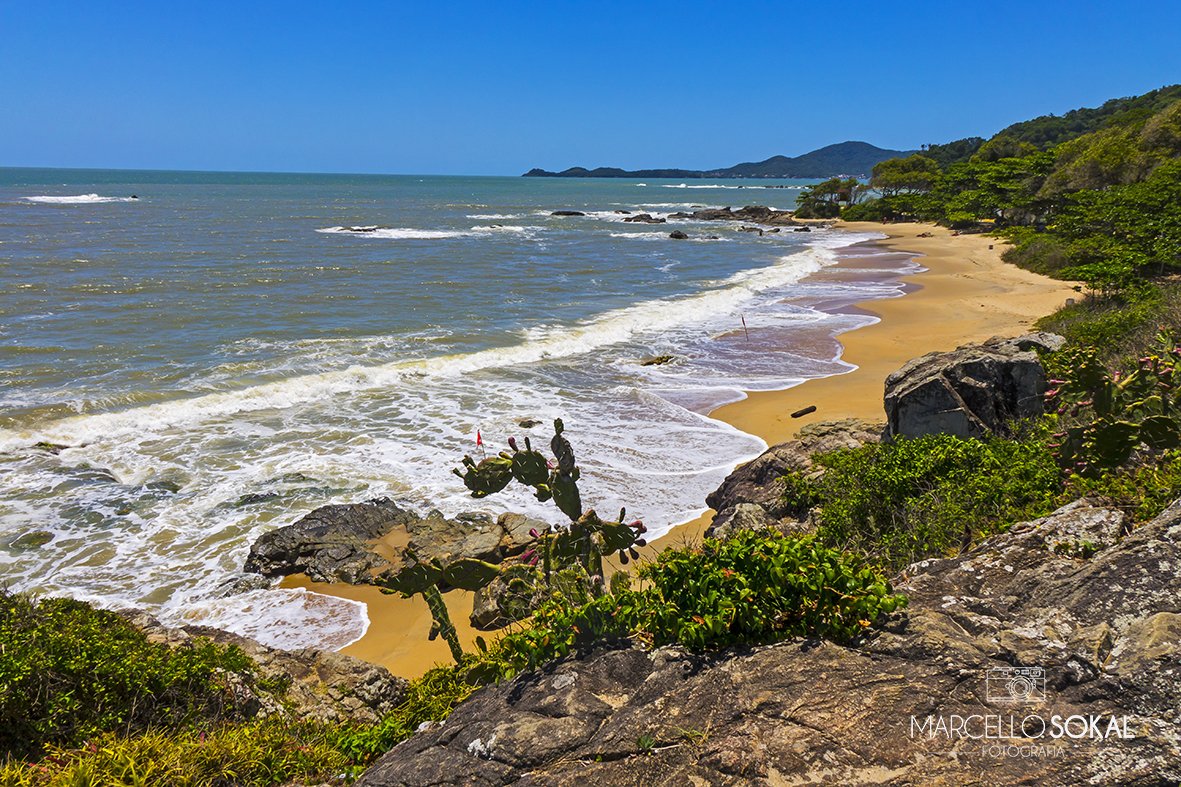 Praia Bacia da Vovó, em Penha, enseada selvagem com costões rochosos, cactos e mar agitado