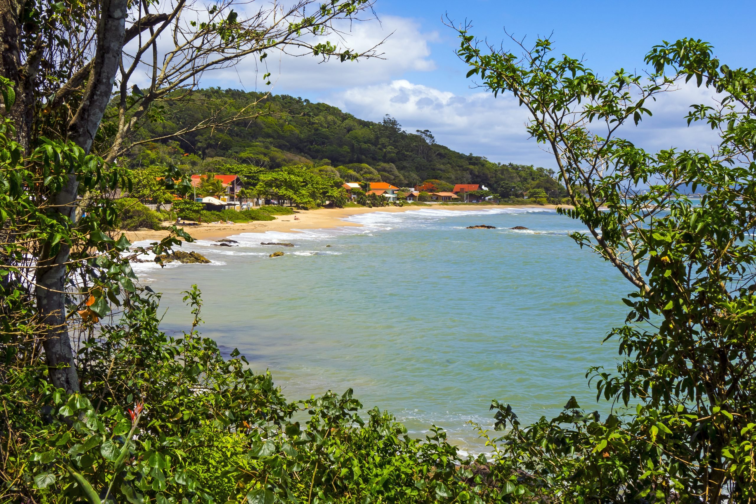 Enseada da Praia da Lola, em Penha, vista por entre a vegetação, com mar esverdeado e casario à beira-mar